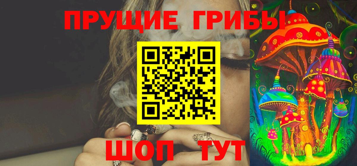 Алексин  Галлюциногенные грибы Psilocybine cubensis  Вход с VPN 